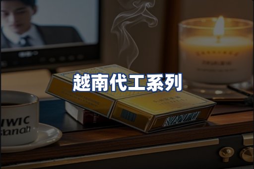 越南代工系列